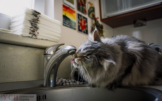 Жители Приморского и Малиновского районов полдня просидели без воды ОБНОВЛЕНО «фото»