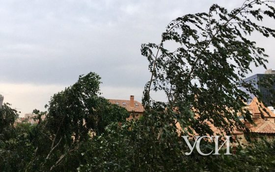 Одессу накрыл грозовой фронт (фото, видео) «фото»