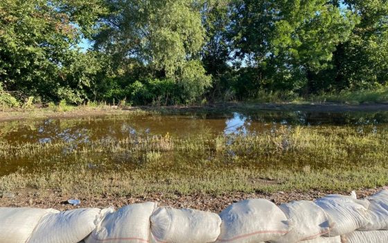 В Маяках местные жители нашли тело утопленника «фото»