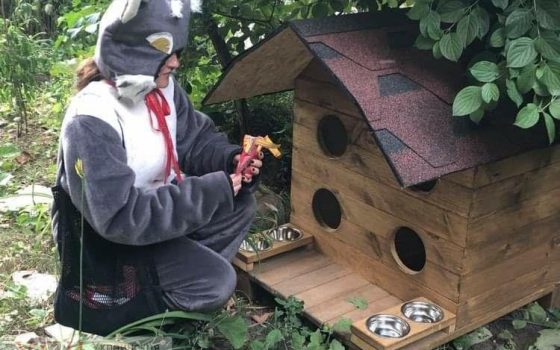 В Одессе массово устанавливают домики для животных: новым жильем уже обзавелись хвостатые с Черемушек (фото) «фото»