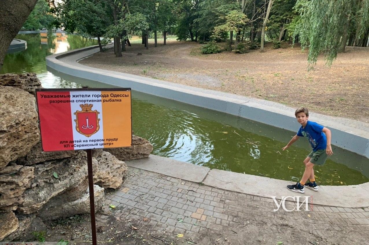 Детям разрешили рыбачить в парке Победы (фото) «фото»