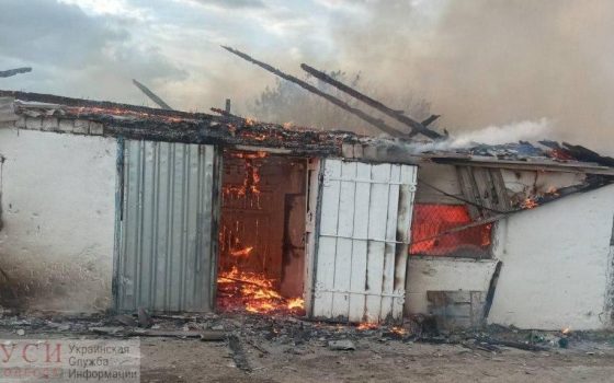 При пожаре в Березовском районе погибли 40 свиней (фото) «фото»