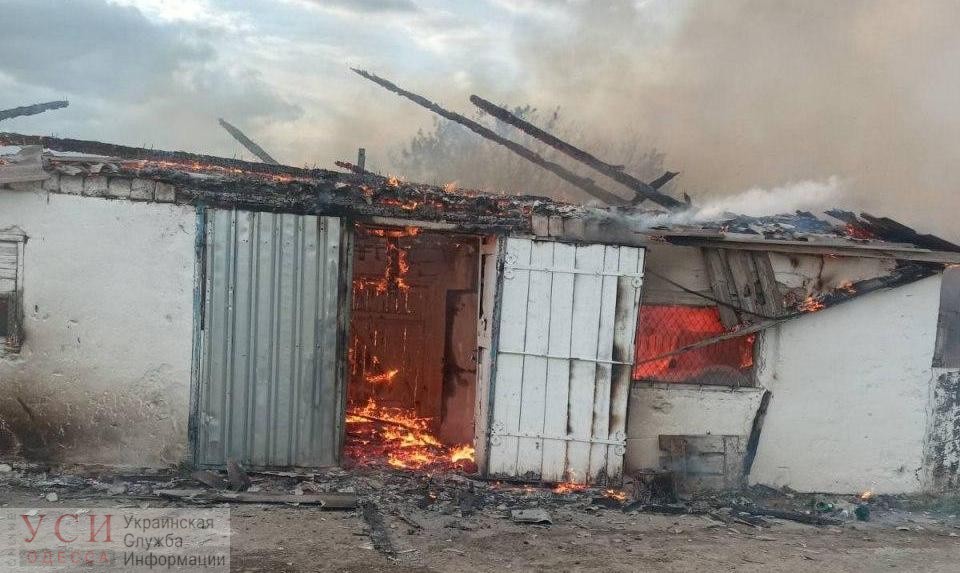 При пожаре в Березовском районе погибли 40 свиней (фото) «фото»