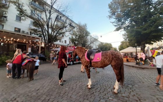 Запретили на бумаге: одесская мэрия бессильна перед уличными фотографами с животными (фото) «фото»