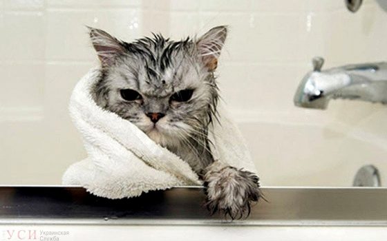 Поселок Котовского, порт и ближайшие села на всю ночь останутся без воды «фото»