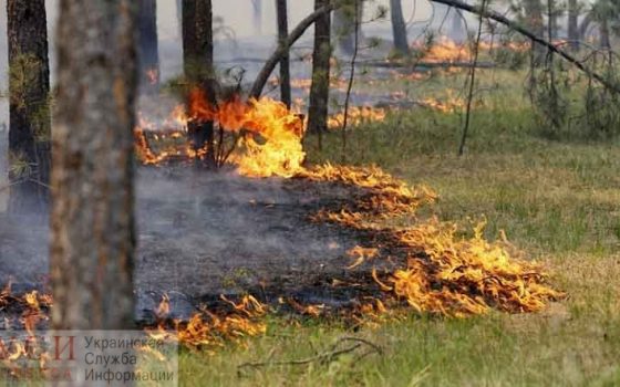 Одесская область находится в зоне пожарного риска «фото»