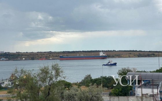 У капитана судна SOFIA R, который скончался на днях от COVID-19, была сопутствующая болезнь почек «фото»