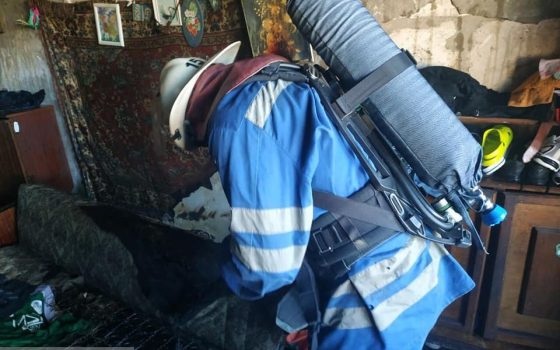 Во время пожара в Одесской области пожарные спасли целую собачью семью и двух котов (фото) «фото»