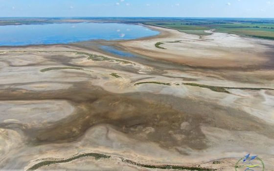 В Одесской области гибнут уникальные острова (фото) «фото»