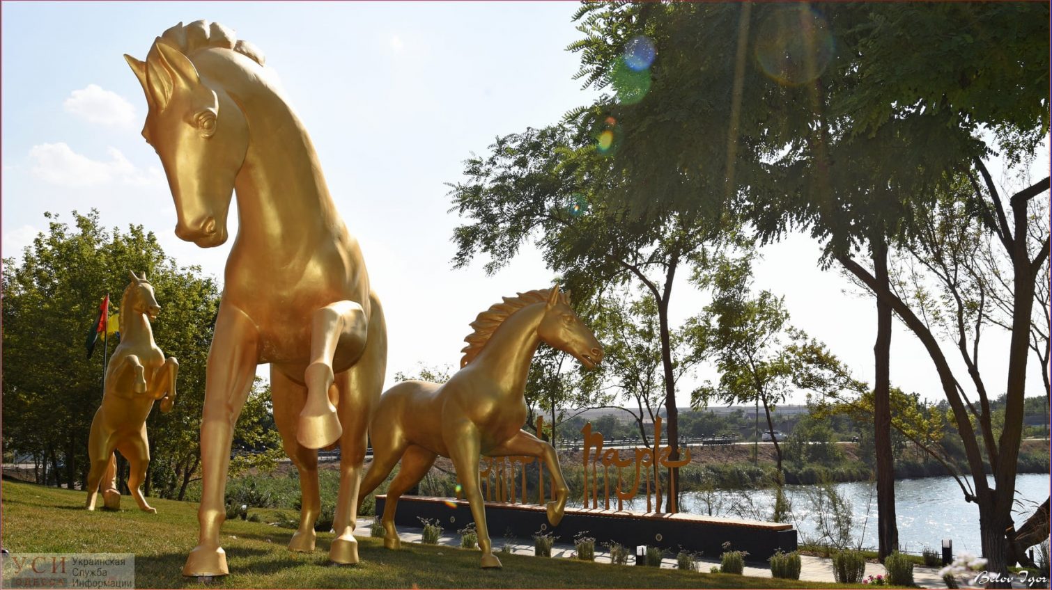 Золотые кони и светящиеся одуванчики: под Одессой появился свой Дубай (фото) «фото»