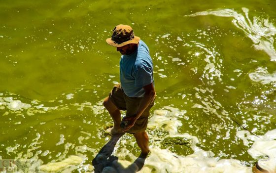 Озеро Сасык зацвело ядовитыми водорослями, но его еще можно спасти «фото»