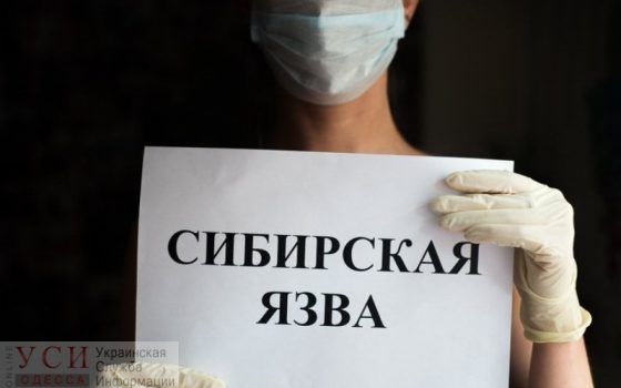 В Одесской области подтвердили случай сибирской язвы: пациент за медпомощью обратился не сразу «фото»