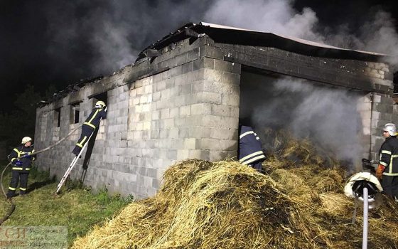 Пожар под Одессой: мужчину госпитализировали «фото»