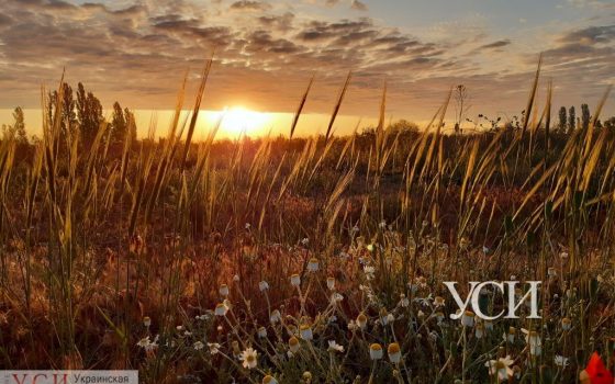 В среду в Одессе будет облачно «фото»