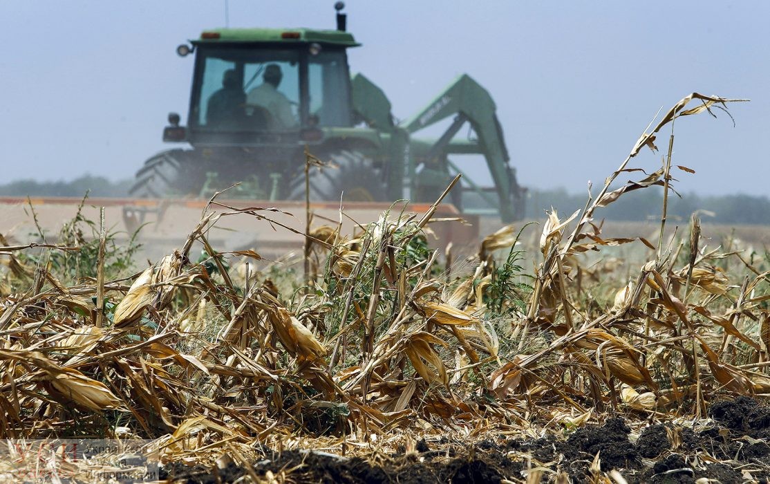 Одесские аграрии будут судиться за обещанную компенсацию из-за засухи «фото»