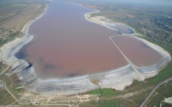Спасти Куяльник: одесситы просят у президента помощи в сохранении уникального лимана (фото) «фото»
