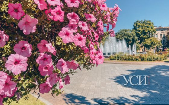 Одесситам обещают жаркую субботу «фото»