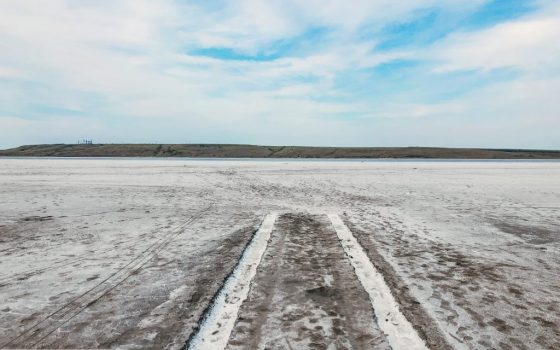 Куяльнику угрожает исчезновение: экологи ищут финансирование «фото»