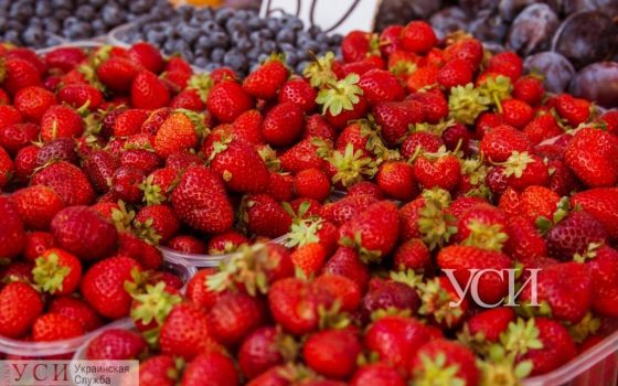 В Одессе немного спадет жара «фото»