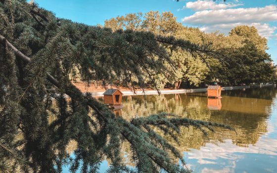 В пятницу в Одессе сохранится прохлада «фото»