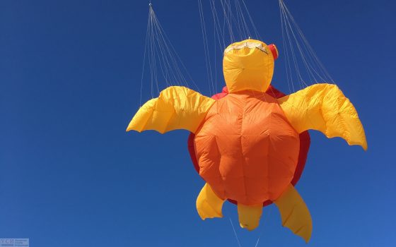 Яркие “змеи-черепахи” и “воздушные рыбы” летали над Бессарабией (фото) «фото»