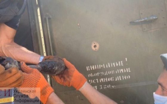 Эхо войны: возле села в Одесской области за неделю нашли почти полторы сотни снарядов «фото»