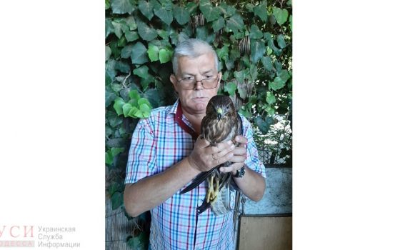 В Одессе у уличного фотографа забрали дикую птицу «фото»