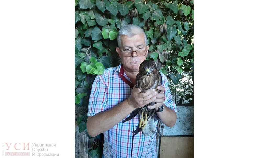 В Одессе у уличного фотографа забрали дикую птицу «фото»