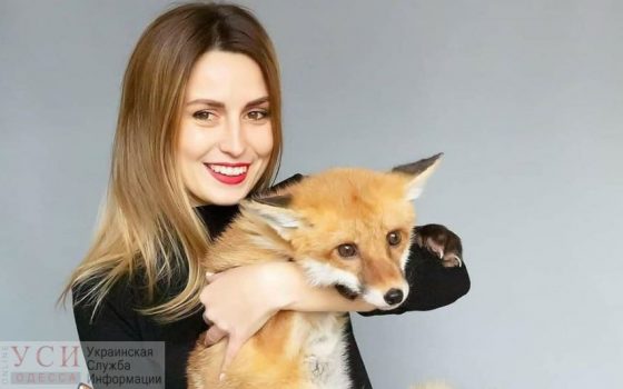 На одесскую зоозащитницу напала собака: нужна помощь «фото»