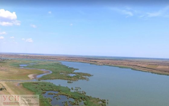 В Одесской области займутся спасением Лебяжьего озера и очисткой “Общественного” канала за 4 миллиона «фото»