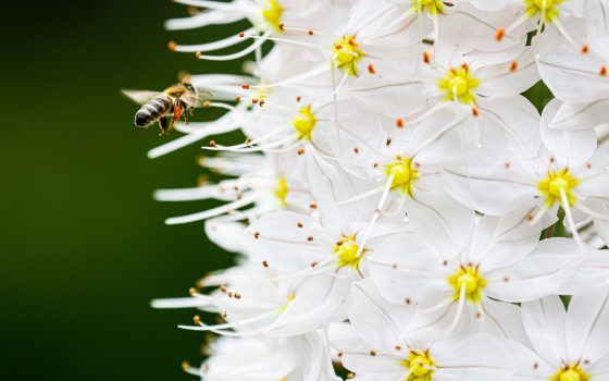 Одесситам обещают солнечную и жаркую пятницу «фото»