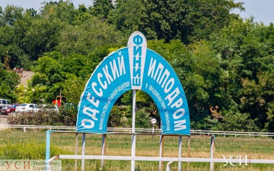 Плохие условия и сомнительные лекарства: на Одесском ипподроме нашли множество нарушений (документ) «фото»