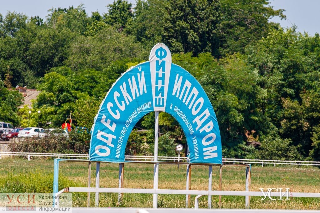 Плохие условия и сомнительные лекарства: на Одесском ипподроме нашли множество нарушений (документ) «фото»