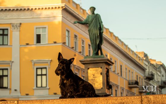 Первый день осени в Одессе будет жарким «фото»