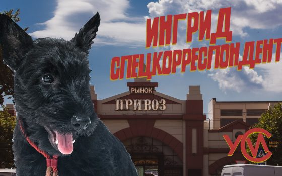 Привоз в августе: краски живой Одессы глазами скотчтерьера Ингрид (фоторепортаж, видео) «фото»