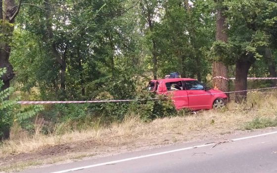 Масштабное ДТП в Одесской области: легковушка вылетела в кювет (фото) «фото»