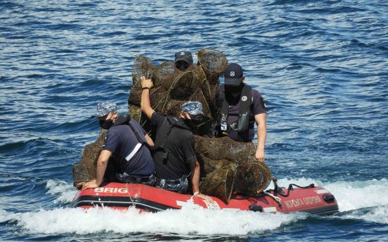 Одесские пограничники спасли от браконьеров краснокнижных морских животных (фото) «фото»