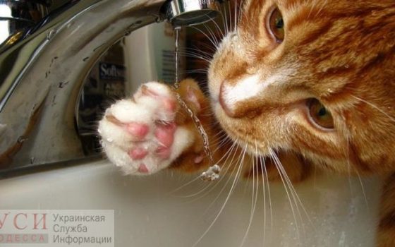 Жители Суворовского района останутся в четверг без воды «фото»