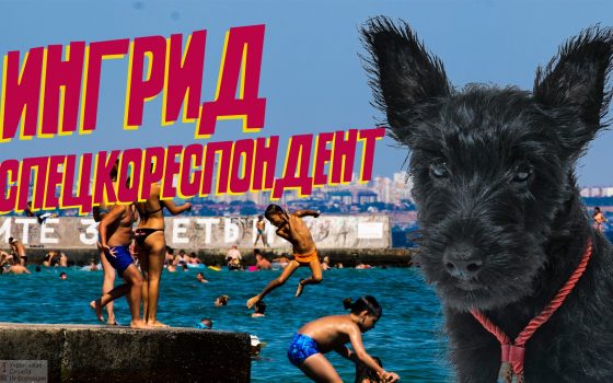 Еще немножечко лета: многолюдные пляжи Одессы глазами скотчтерьера Ингрид (видео) «фото»