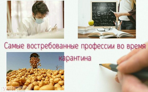 Врач, учитель, агроном: в Одессе назвали самые востребованные профессии во время карантина «фото»