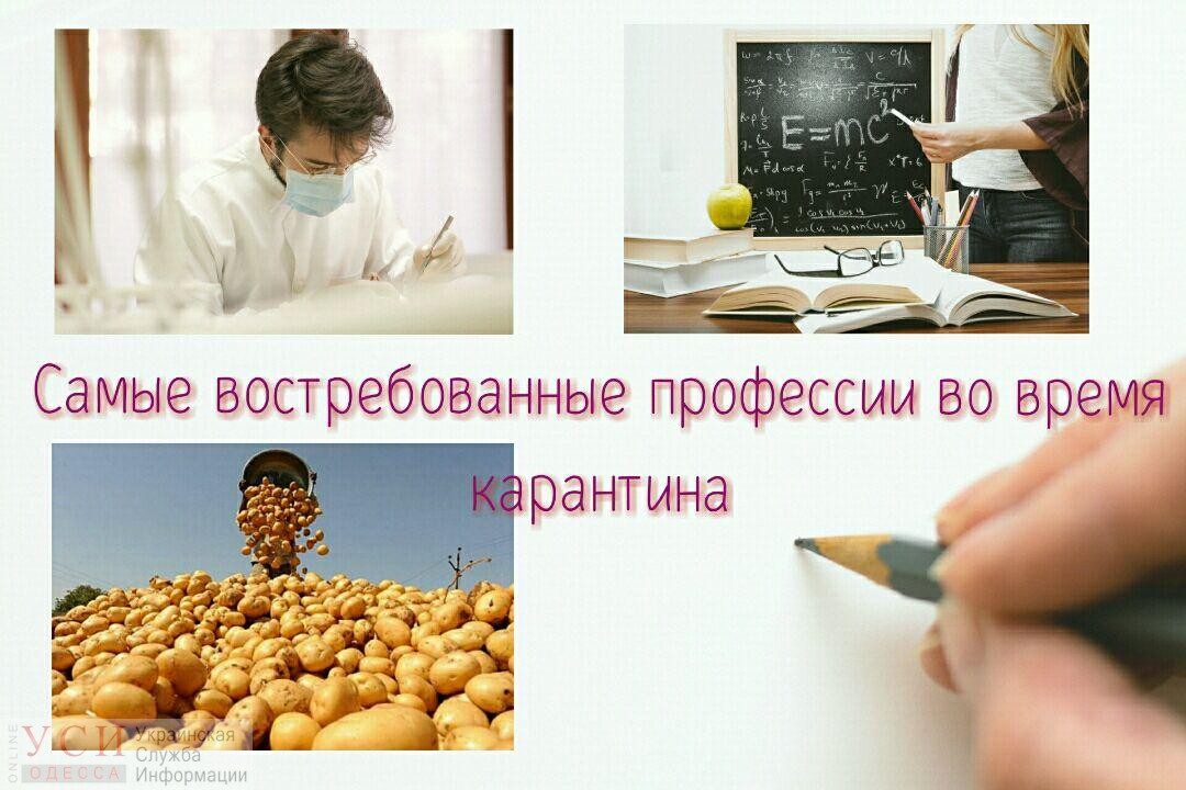 Врач, учитель, агроном: в Одессе назвали самые востребованные профессии во время карантина «фото»