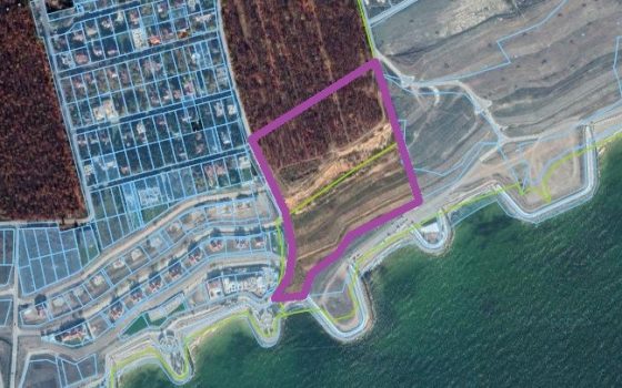 В “Лузановском лесу” уничтожили несколько гектаров деревьев ради стройки «фото»