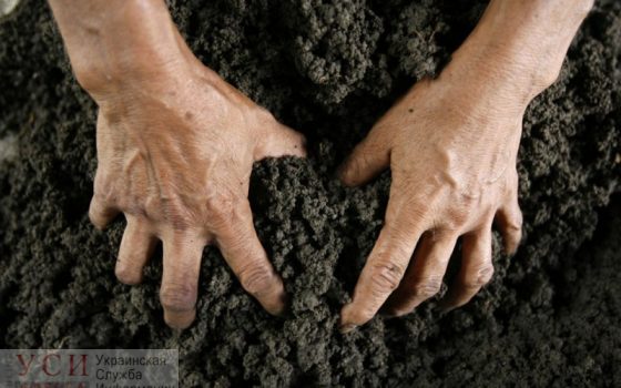 В Одесской области частная фирма захватила землю стоимостью в 2 миллиона «фото»