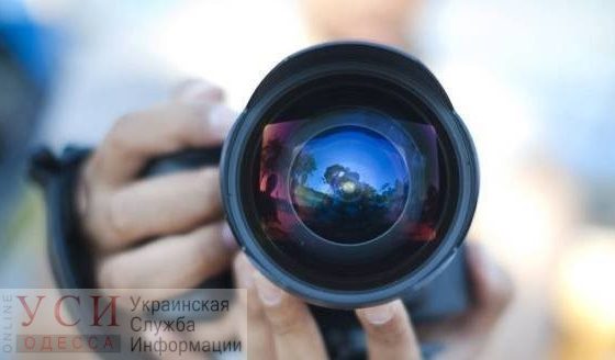 Снимок одесского фотографа попал в шортлист международного конкурса комических фото с животными (фото) «фото»