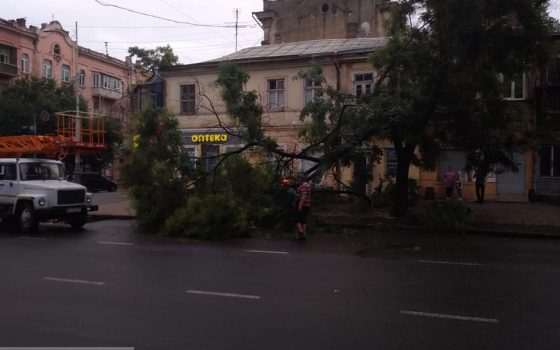 Долгожданный осенний дождь повалил в Одессе 10 деревьев (фото) «фото»
