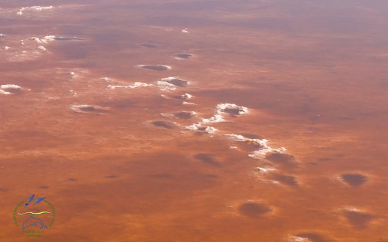 Инопланетный пейзаж: в Одесской области высыхающий лиман стал красным (фото) «фото»