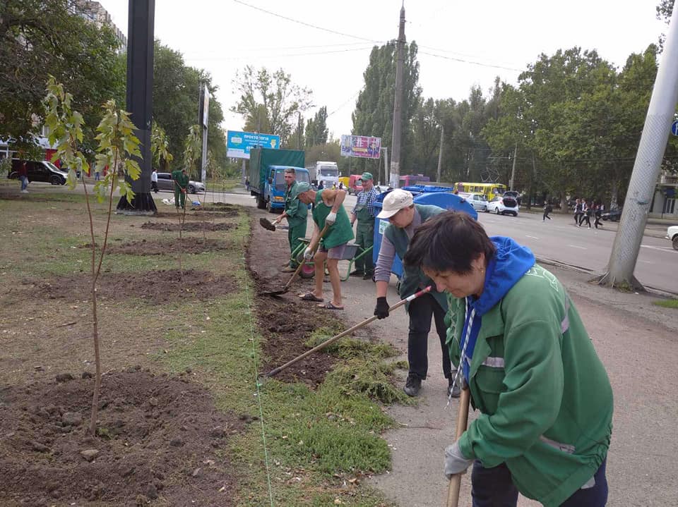 В Одессе педагоги высадили 95 деревьев ко Дню учителя (фото) «фото»