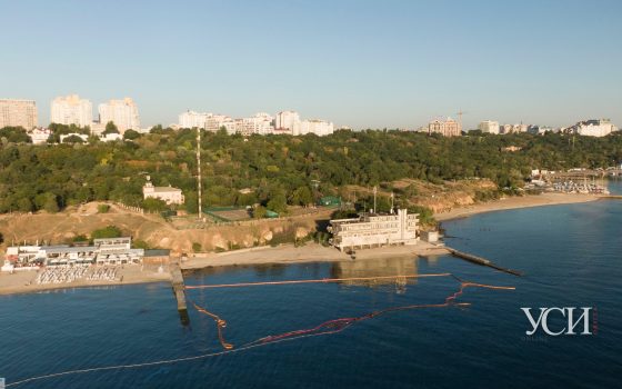 Глава Госэкоинспекции назвал сумму ущерба, причиненного природе танкером Delfi (фото) «фото»