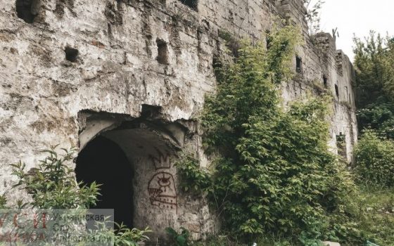 Одесские депутаты одобрили реконструкцию заброшенных винных погребов на Бугаевке «фото»