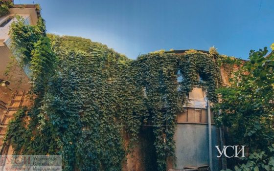 Бархатный сезон продолжается – вторник будет солнечным «фото»